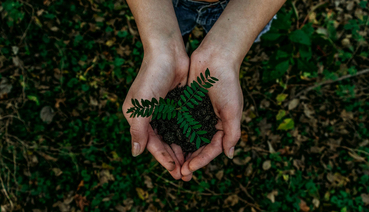 Building a Greener Future